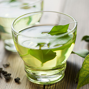 Green Tea Original Fragrance Oil