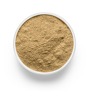 Shikakai Powder