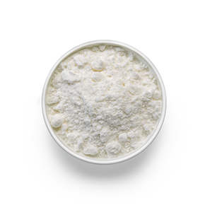 Coconut Milk Powder